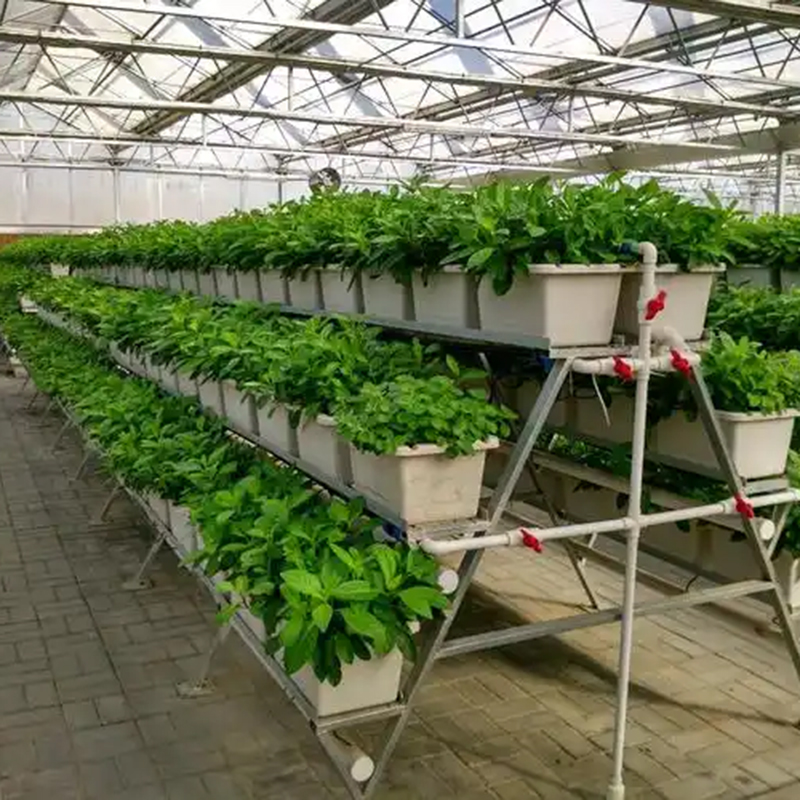 安康市植物工厂苗床 - 方案